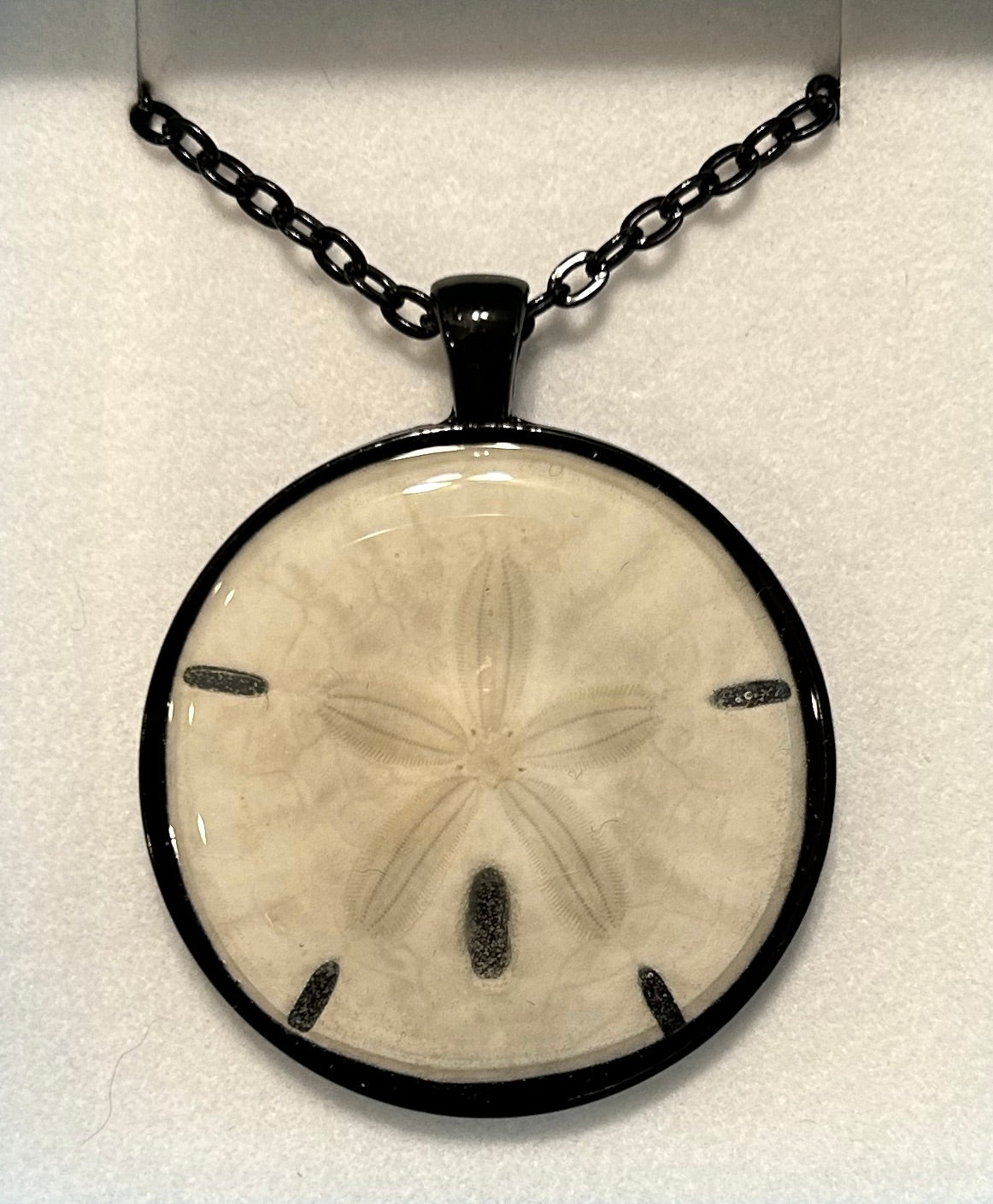 Sand Dollar Necklace 40mm Black