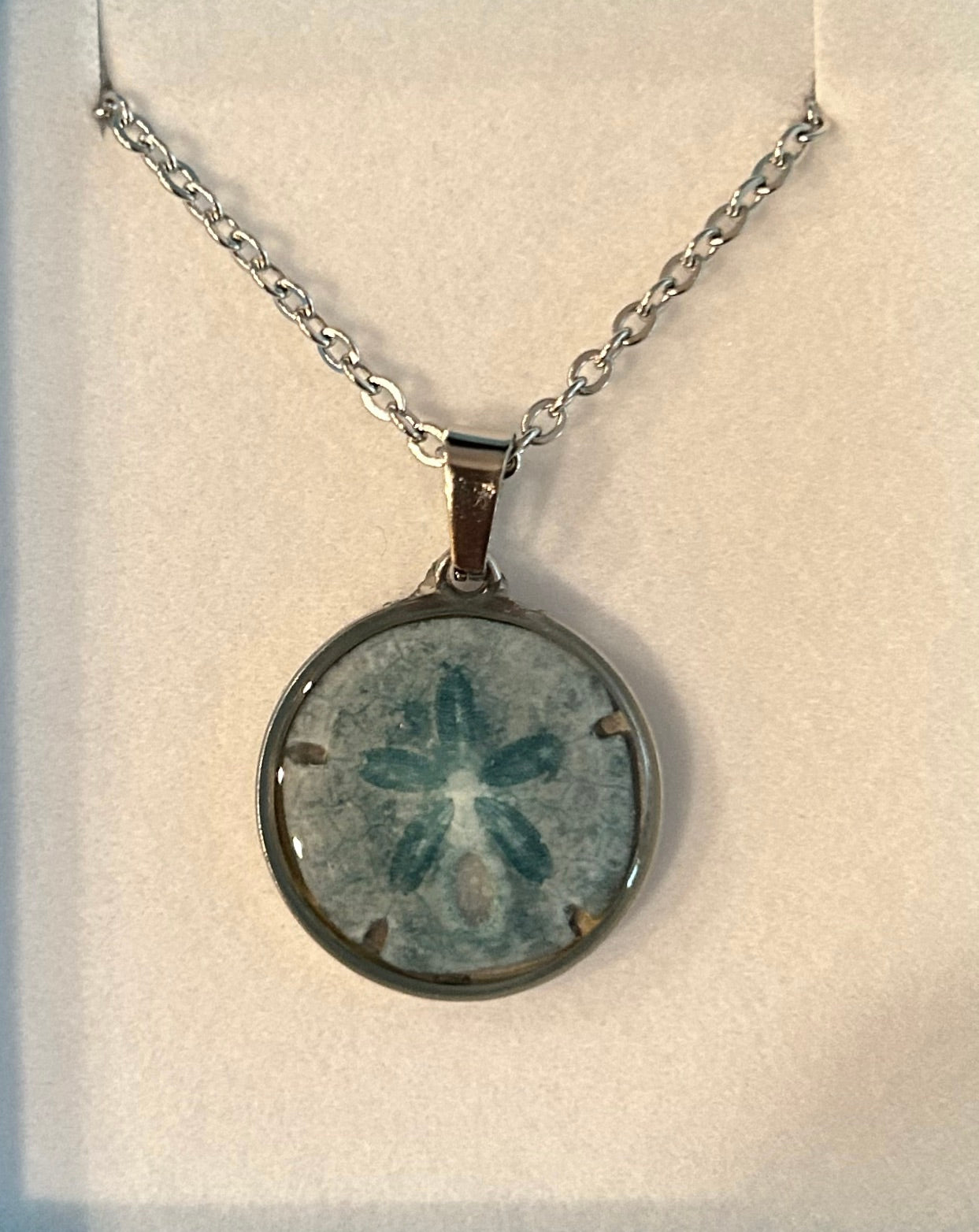 Sand Dollar Necklace 25mm SS