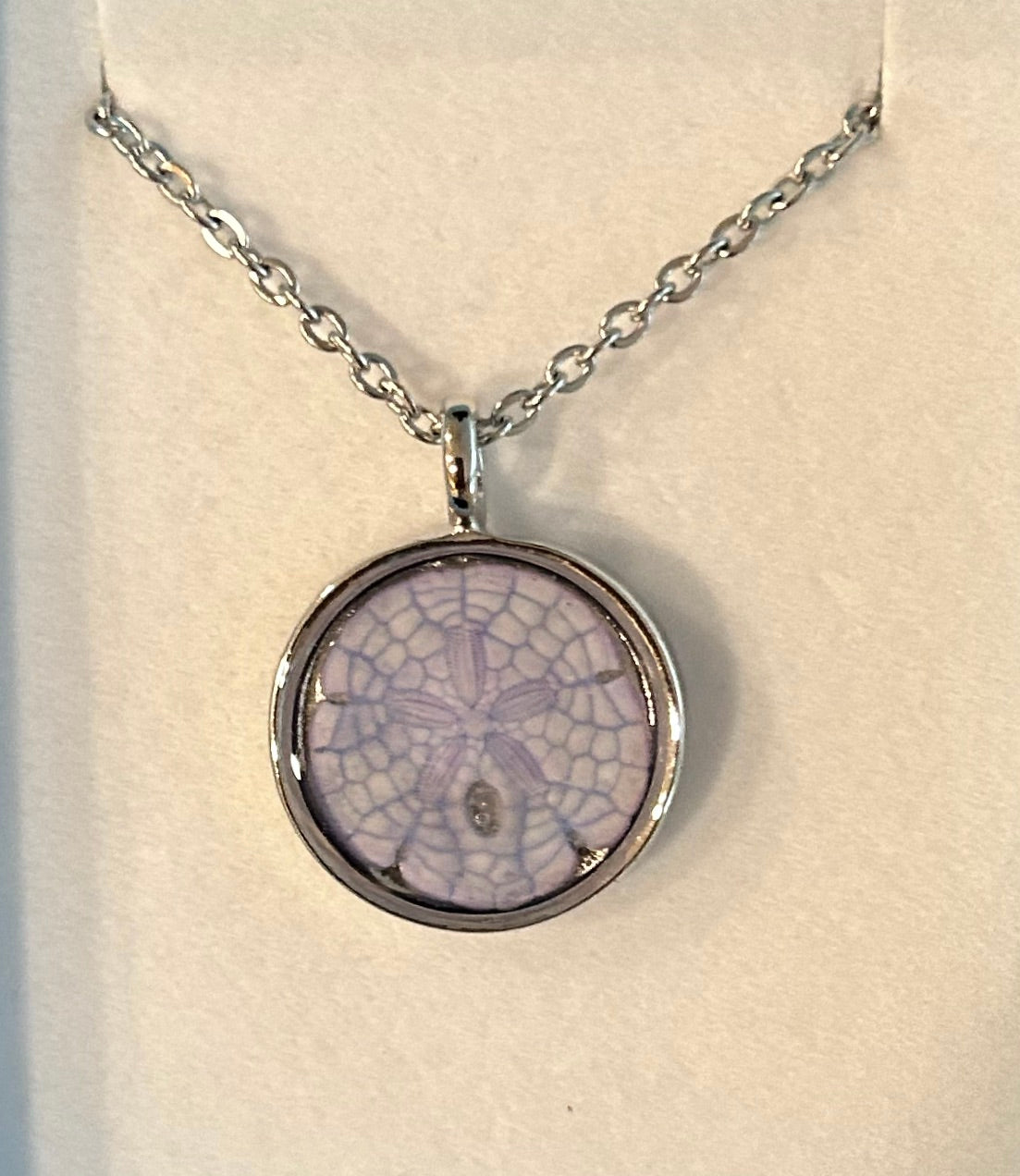 Sand Dollar Necklace 20mm SS