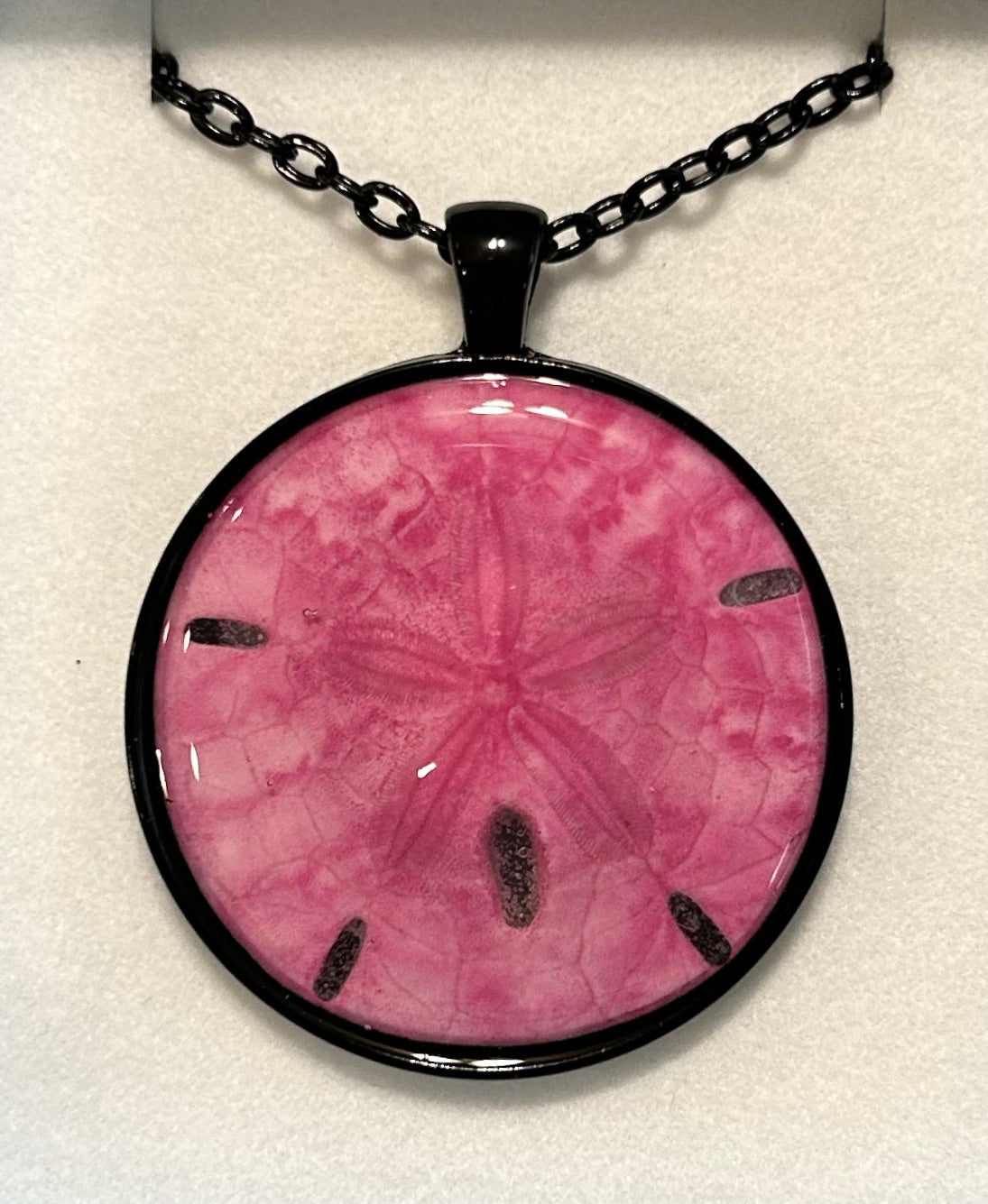 Sand Dollar Necklace 40mm Black