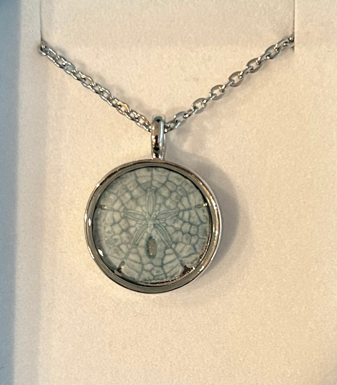 Sand Dollar Necklace 20mm SS