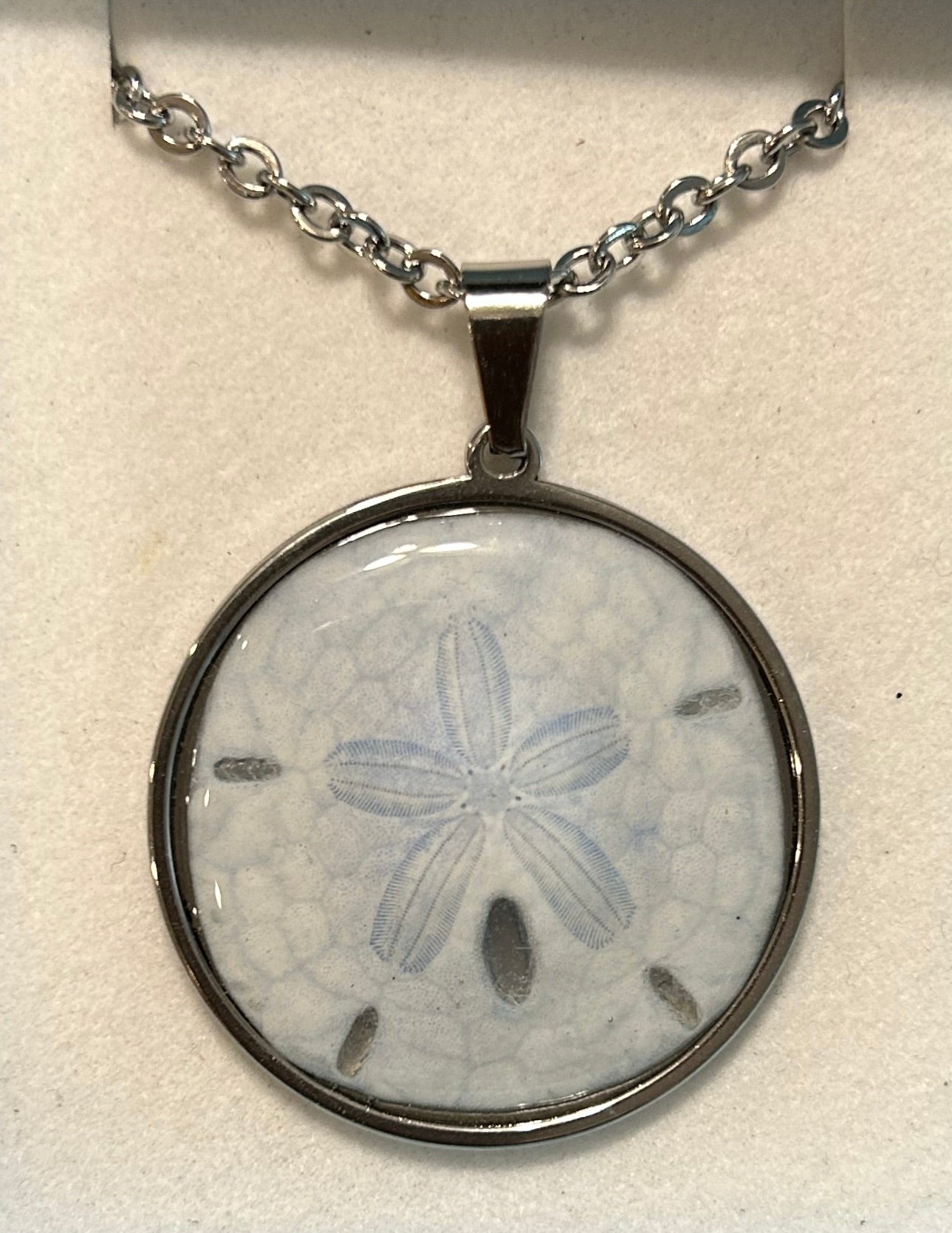 Sand Dollar Necklace 35mm SS