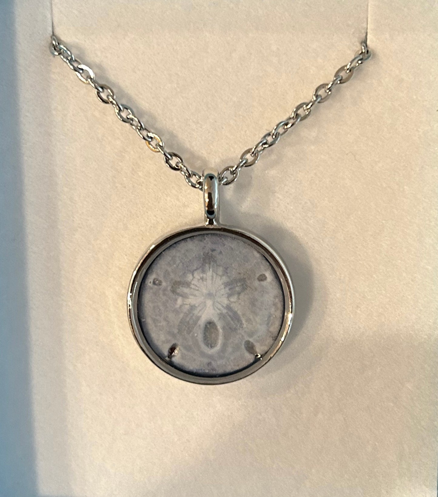 Sand Dollar Necklace 20mm SS