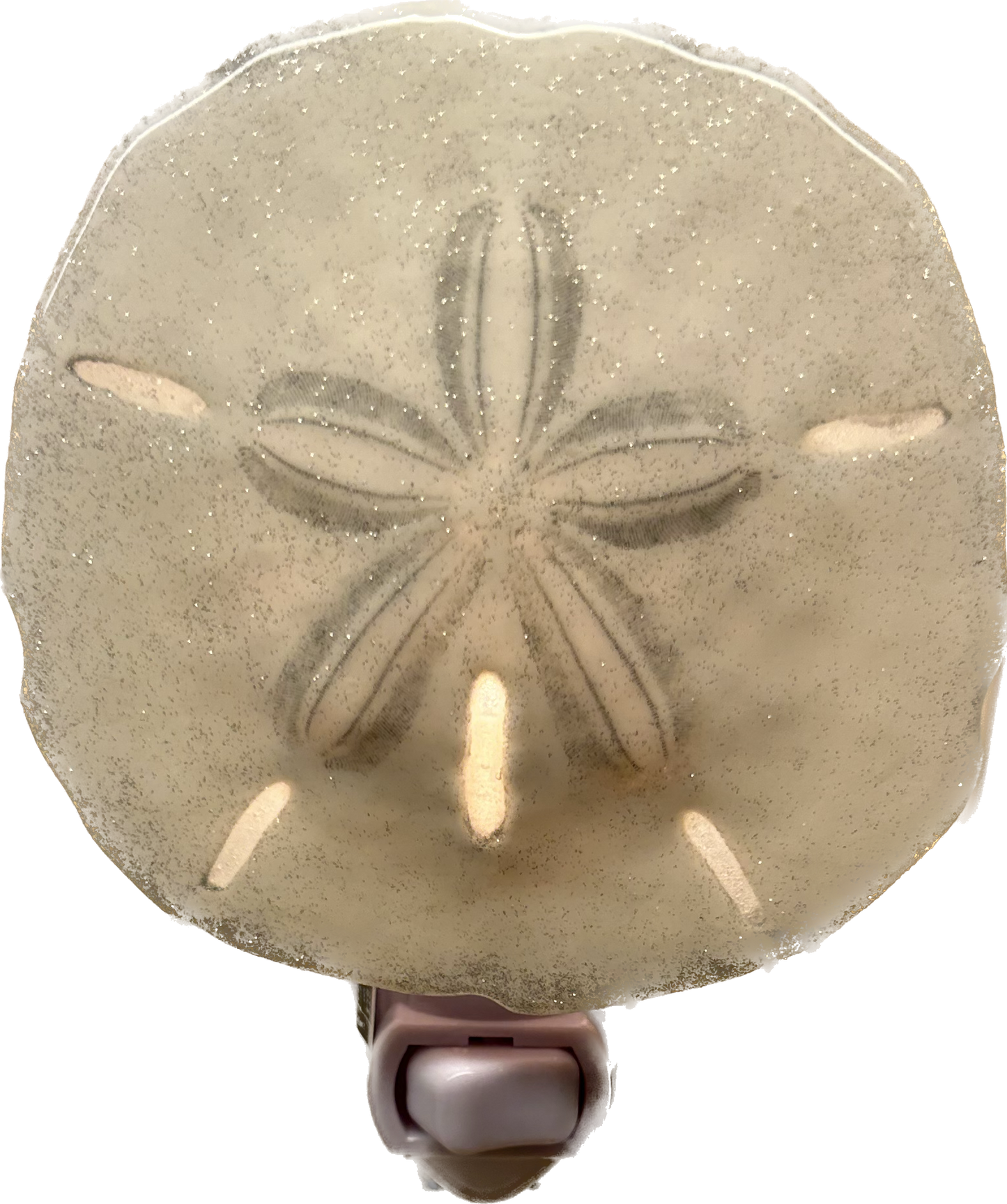 Sand Dollar Night Light