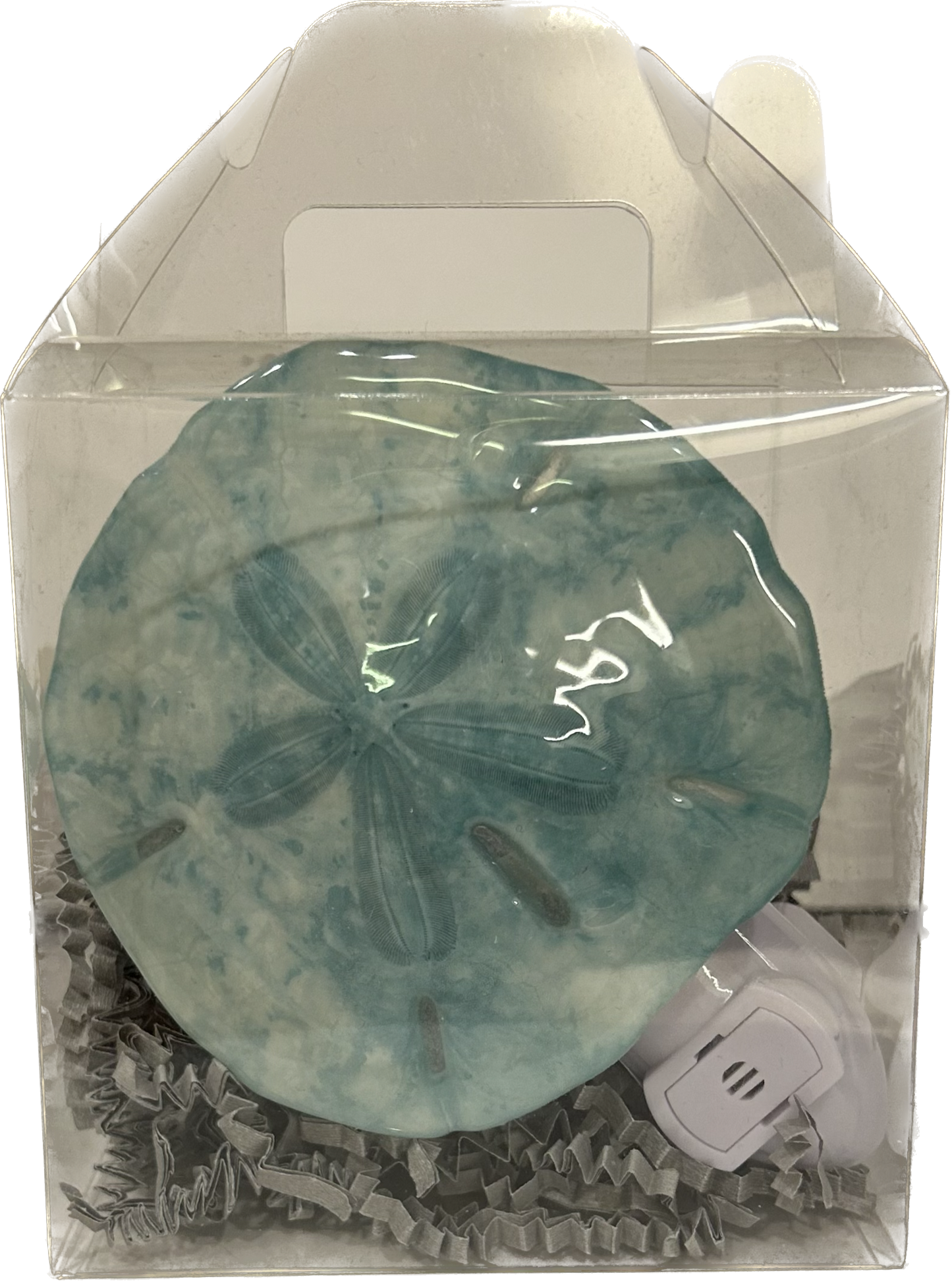 Sand Dollar Night Light