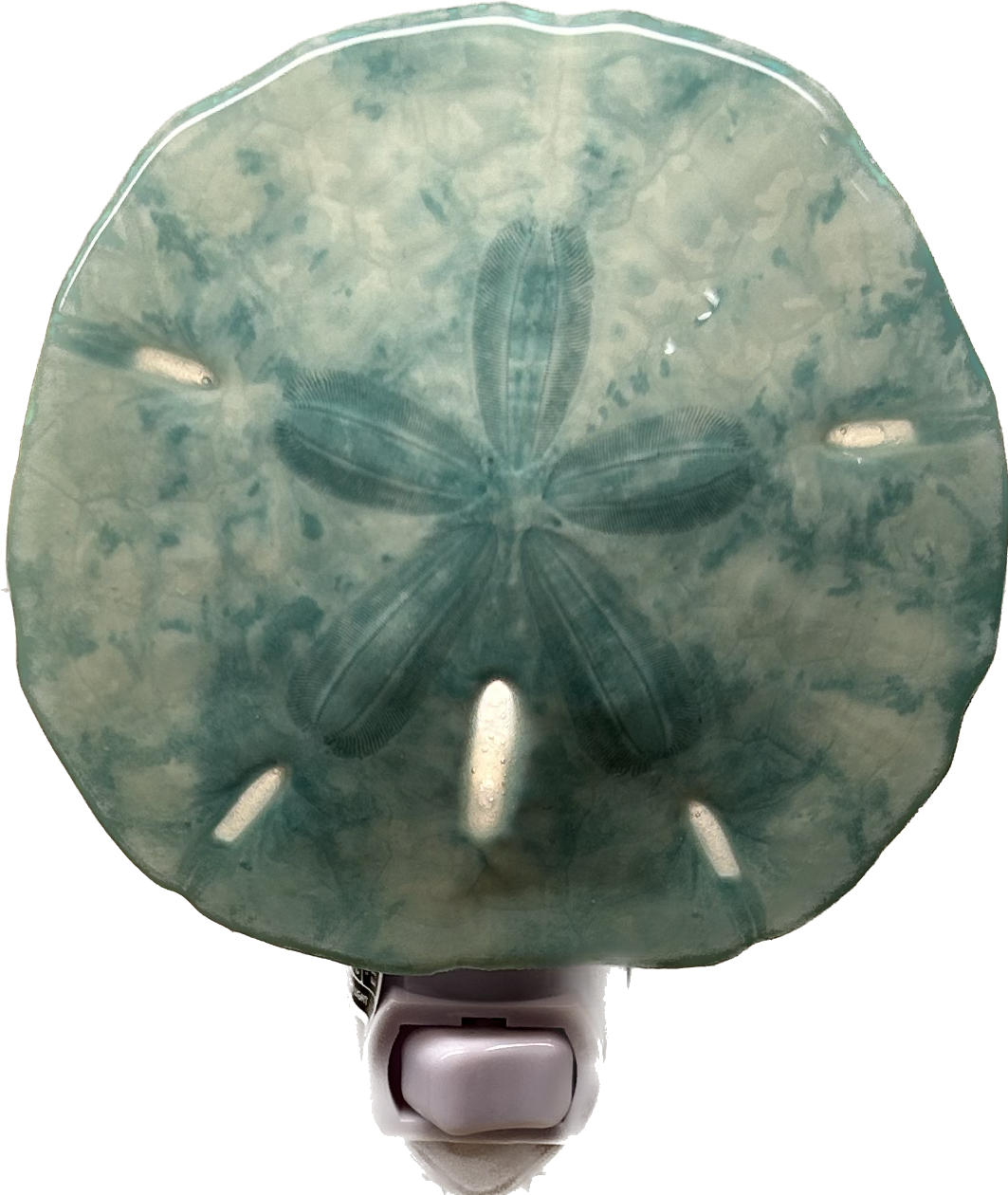 Sand Dollar Night Light