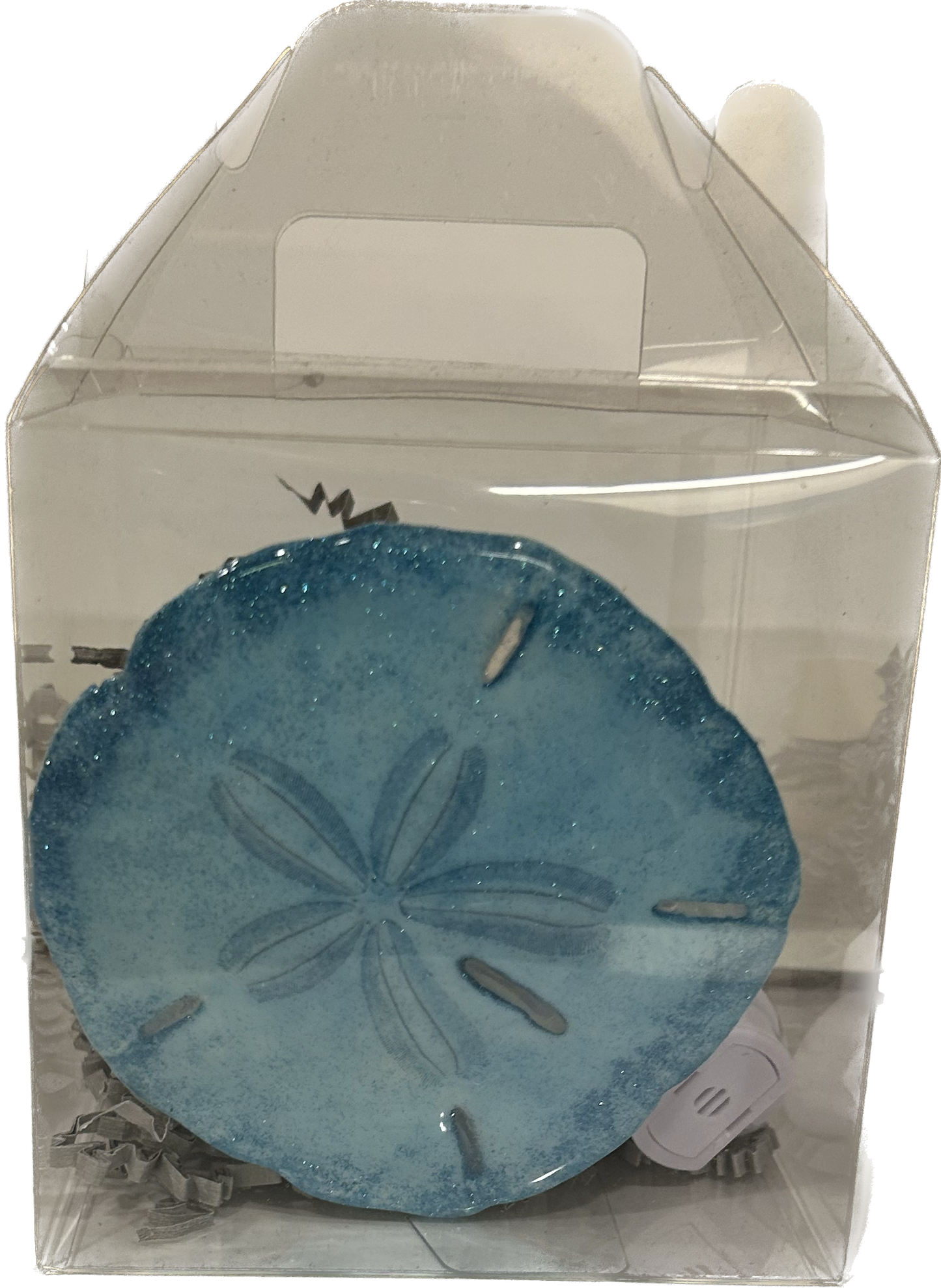 Sand Dollar Night Light